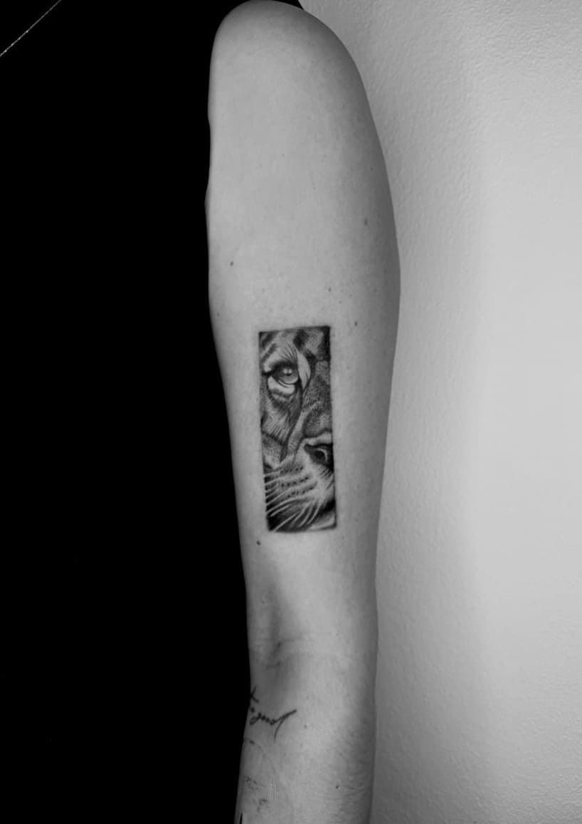 Gallery image 10